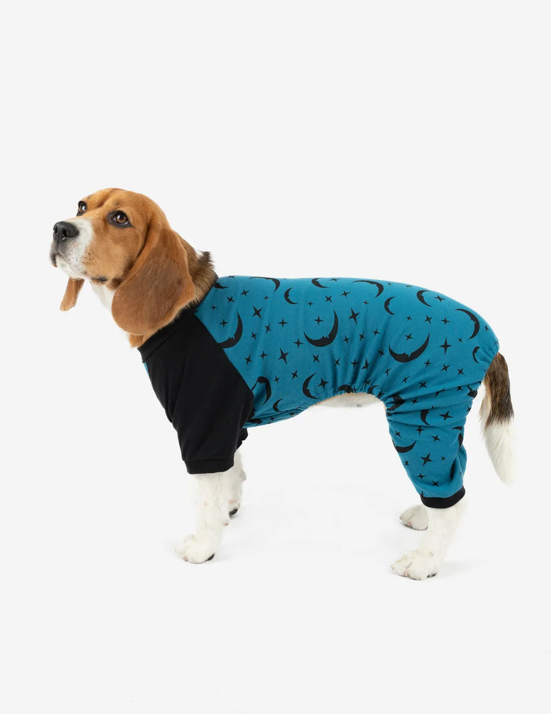 Dog Moon Pajamas