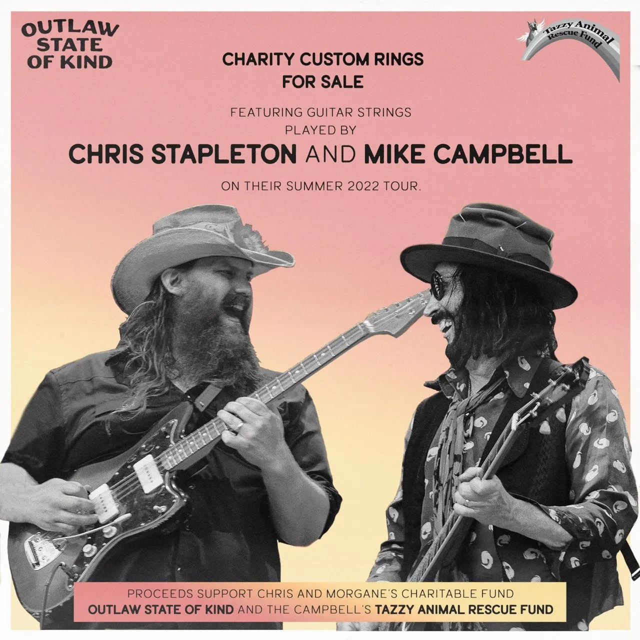 Mike Campbell Guitar String Ring - Rosewood Bentwood on Titanium Inlay with SILVER Guitar String